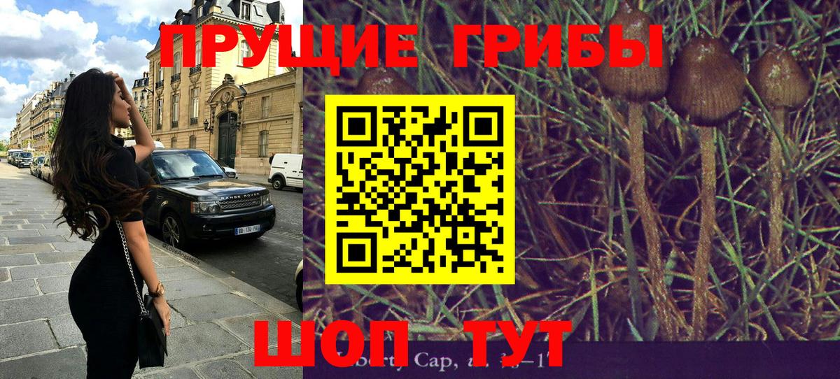 Галлюциногенные грибы прущие грибы  Вход с VPN  Бугуруслан 